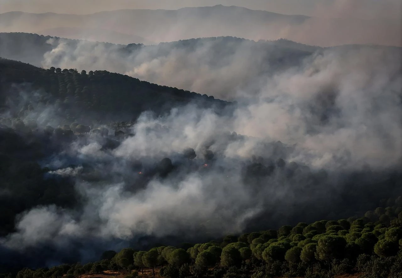 Aerial and ground firefighting operations continue for a second day to contain a forest fire in the Gomec district of Balikesir, Türkiye, on July 30, 2026. (AA Photo)