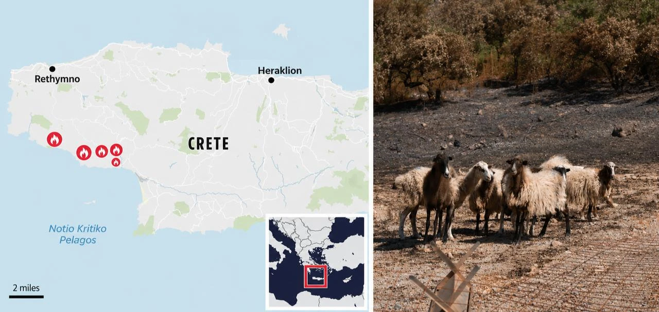 A map shows wildfire-hit areas in southern Crete alongside sheep standing in a scorched landscape after the blaze. (Photo collage by Türkiye Today team)