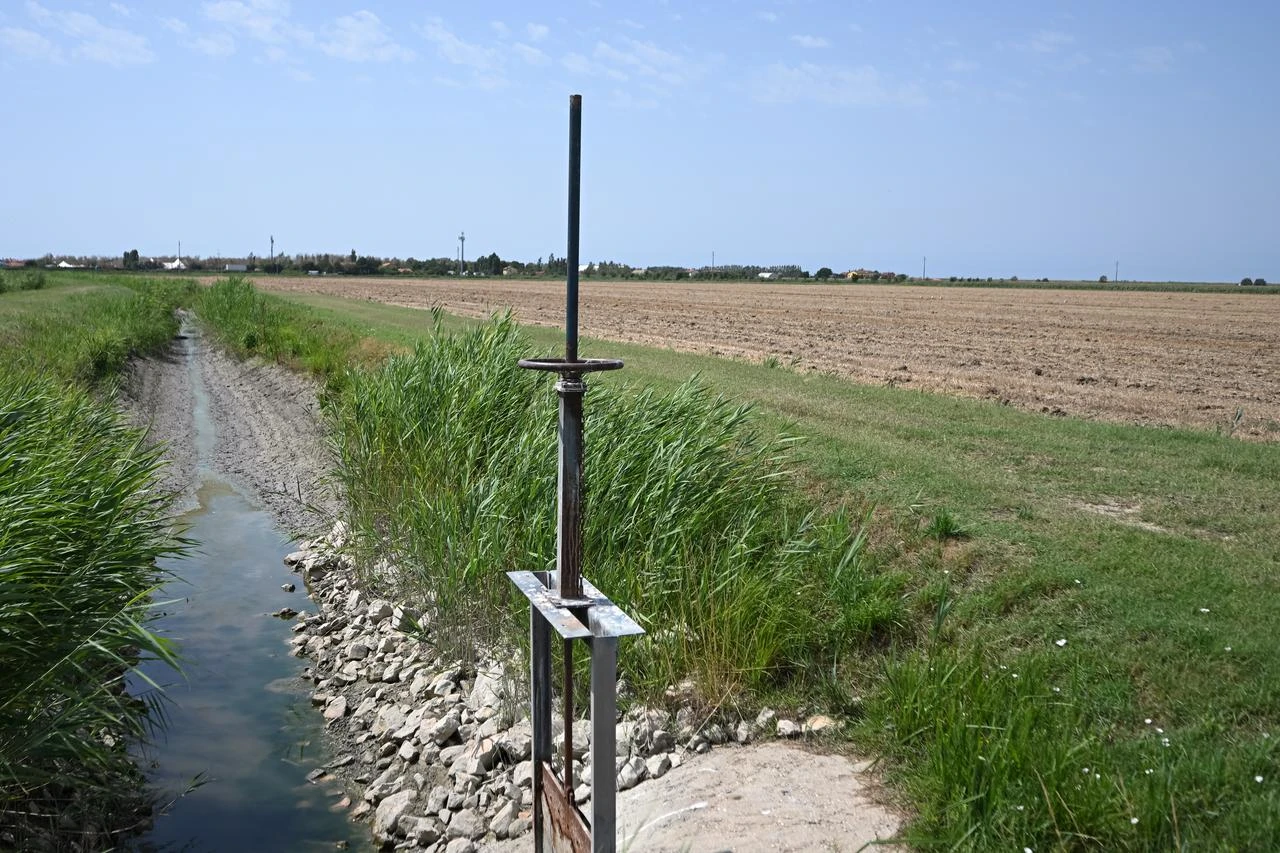 An irrigation canal and sluice gate run alongside dry agricultural fields in the Po River basin in northern Italy, July 20, 2026. (AA Photo)