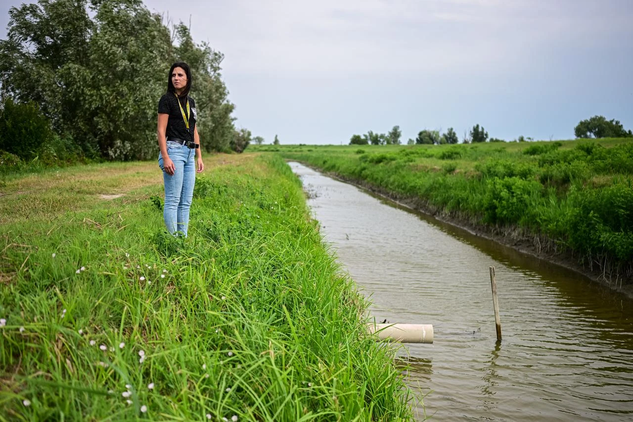 A woman stands beside an irrigation canal in the drought-affected Po River basin in northern Italy, July 20, 2026. (AA Photo)