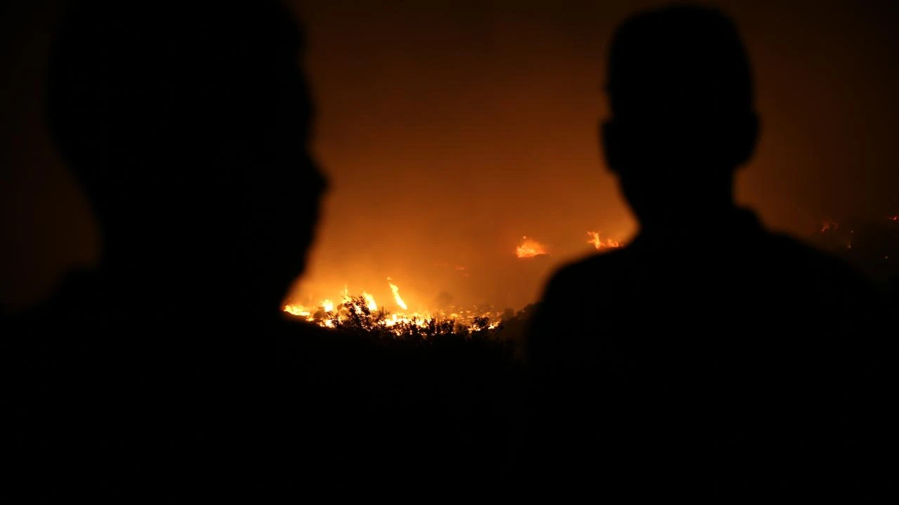 Wildfire forces evacuation in Türkiye's Aydin