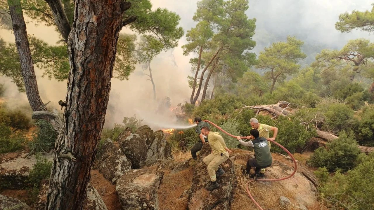 Wildfires in Antalya, Mugla and Balikesir nearly contained