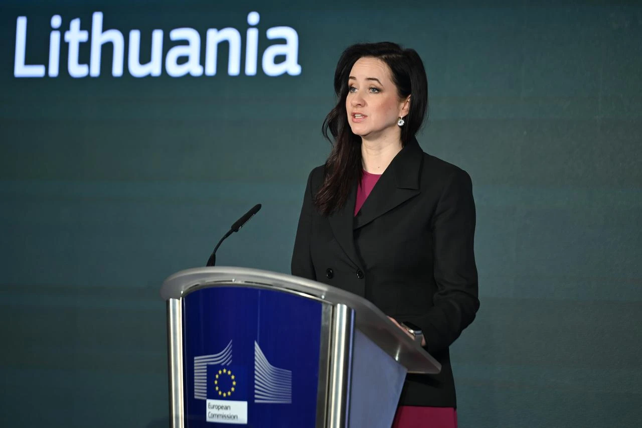 Lithuania hails Türkiye as key NATO ally for Baltic security