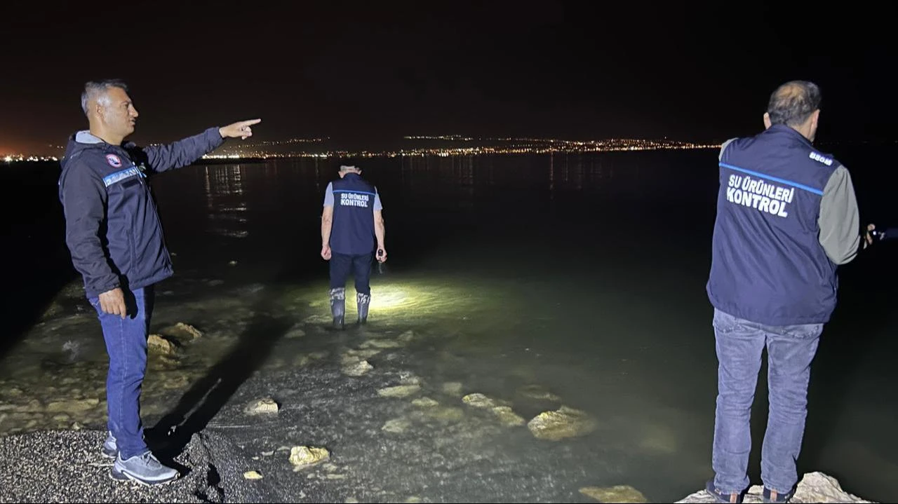 Fisheries and Aquatic Products Branch, inspects millions of pearl mullet fry returning to Lake Van. Van, Türkiye, July 4, 2026. (IHA Photo)