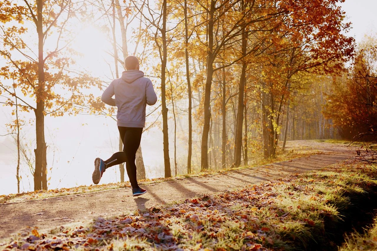 A person jogs along a tree-lined path. (Adobe Stock Photo)