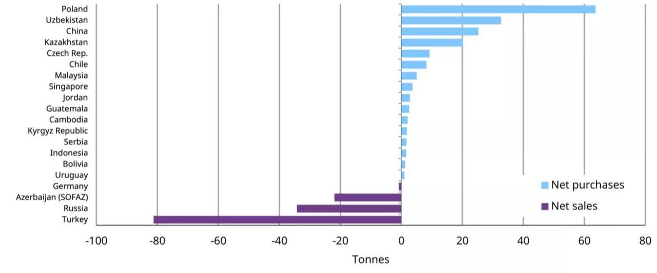 Bar chart illustrates net gold purchases and sales by central banks in the first five months of 2026. (Chart via WGC)