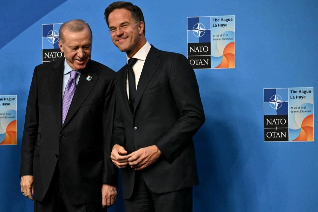 Türkiye's role in NATO will grow further: Dutch defense chief