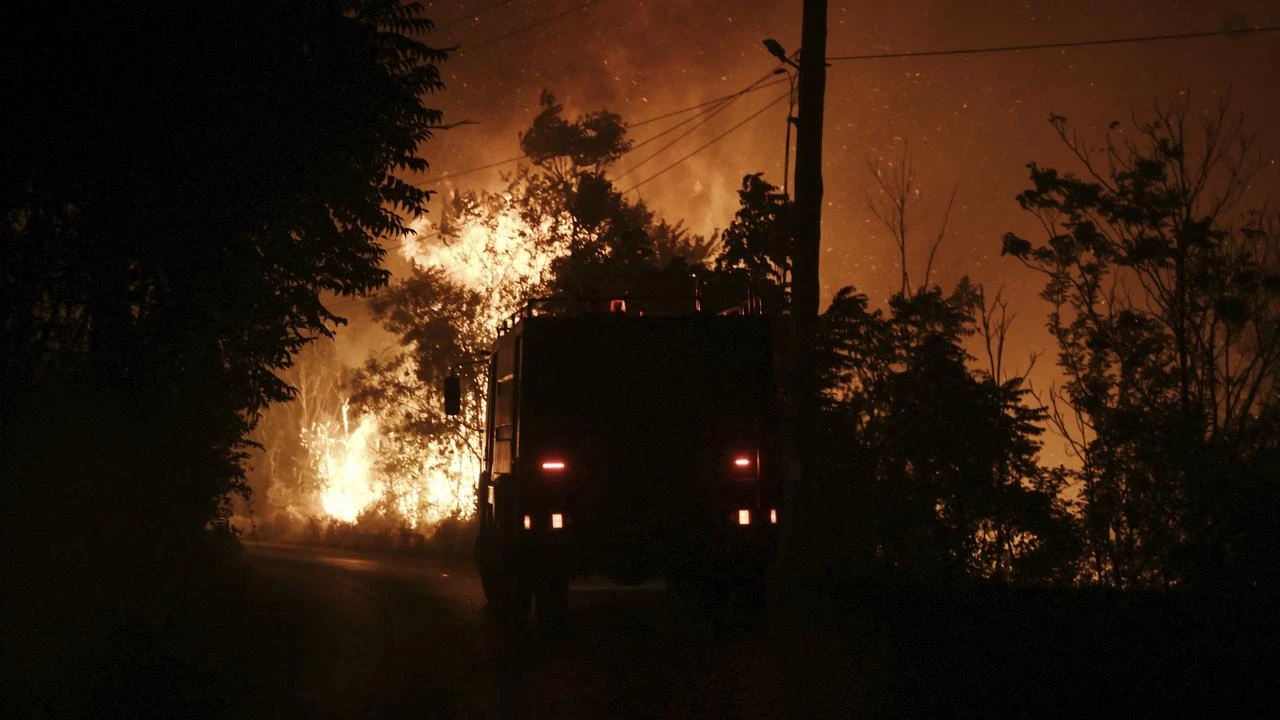 Wildfire near Thessaloniki brought under control 