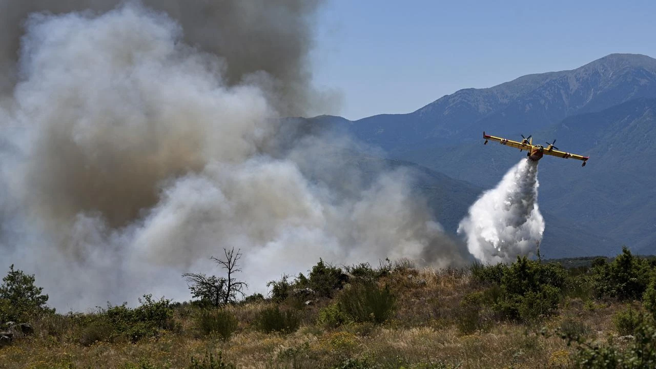 By AFP Photo