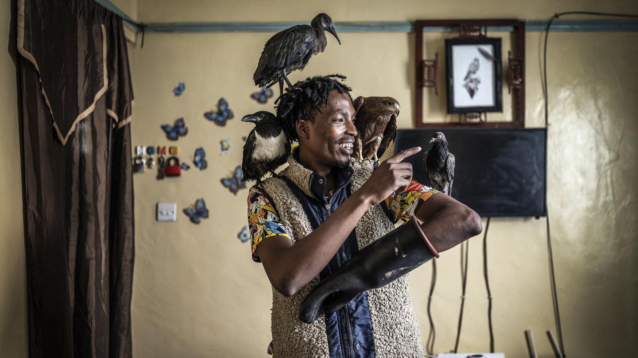 Kenya's 'birdman' nurses wild birds back to health