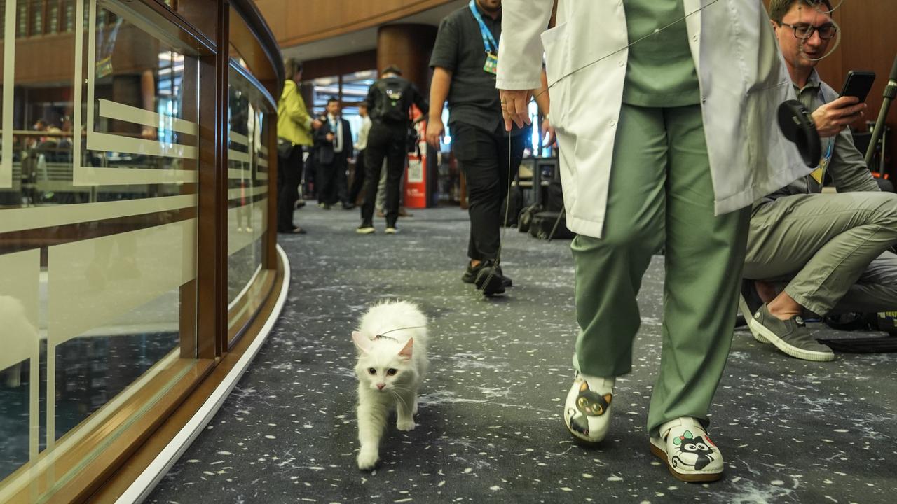 Anadolu Agency