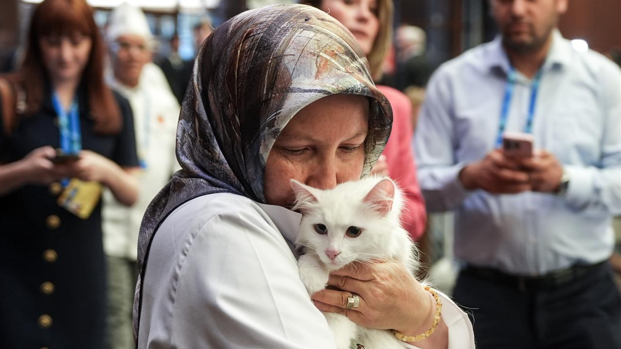 Anadolu Agency