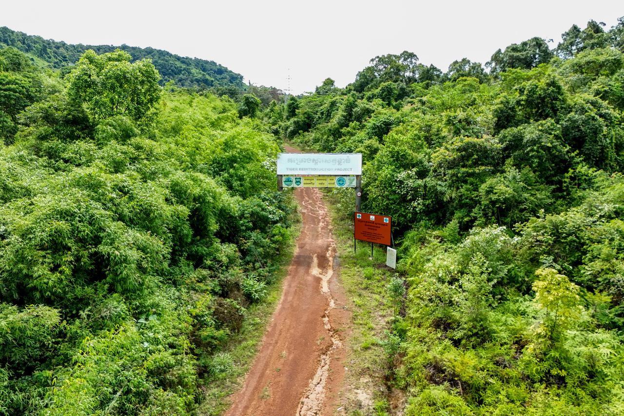 An aerial view shows the road to Cambodia’s Tiger Reintroduction Project in Cardamom National Park, Koh Kong province, June 11, 2026. (AFP Photo)
