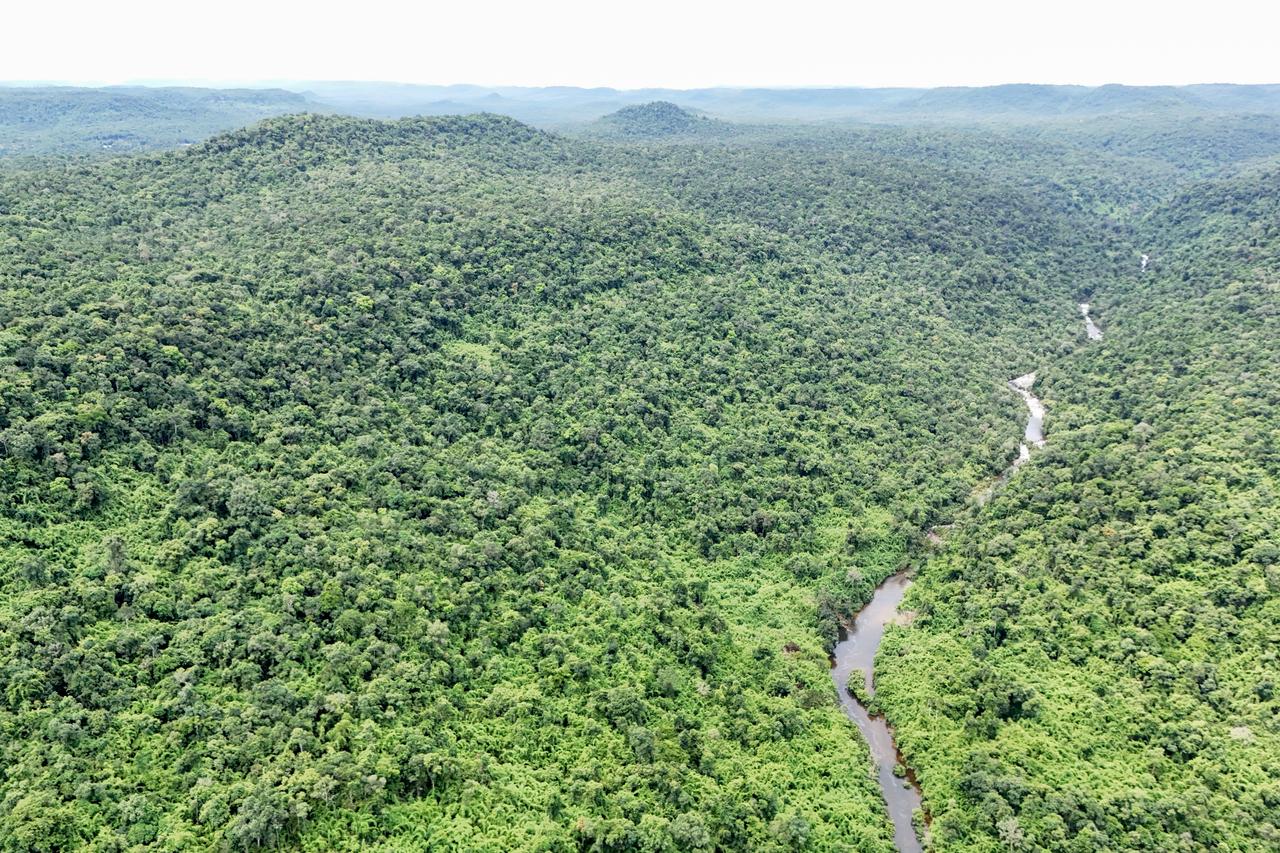An aerial view shows Cardamom National Park in Koh Kong province, Cambodia, June 11, 2026. (AFP Photo)