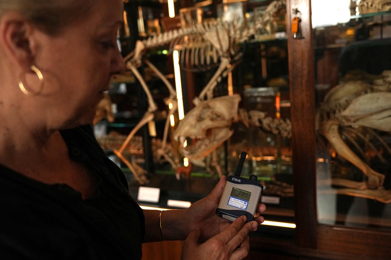 Tannis Davidson, Head of Zoology and Science collections at the Grant Museum of Zoology in London, holds a device displaying temperature, on June 26, 2026. (AFP Photo)