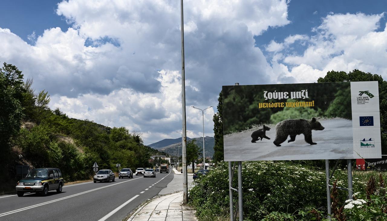 Road sign signaling a bear crossing path and reading "we live together, reduce speed" outside of the city of Kastoria, northwest Greece on June 22, 2026.(AFP Photo)