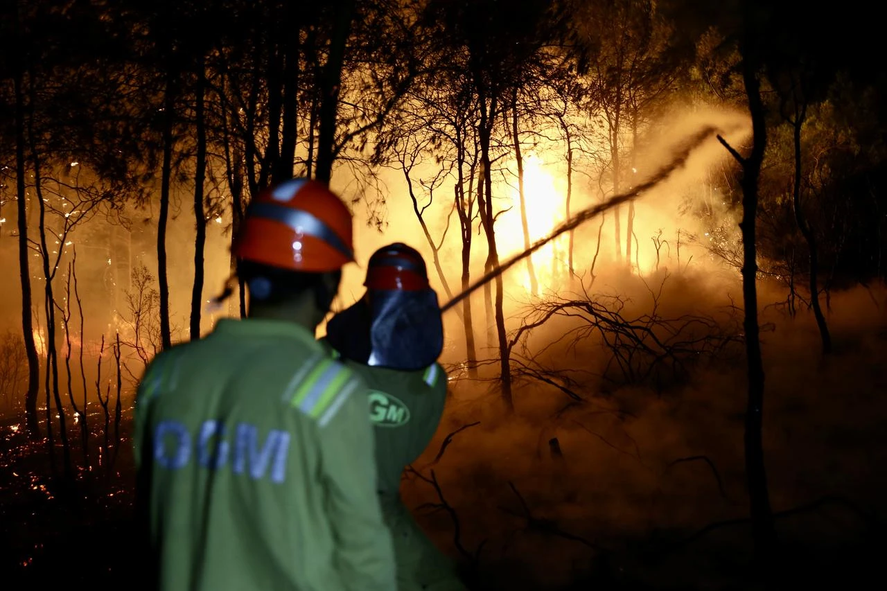 Deadly wildfires grip Türkiye, Greece, Spain, France and Portugal  