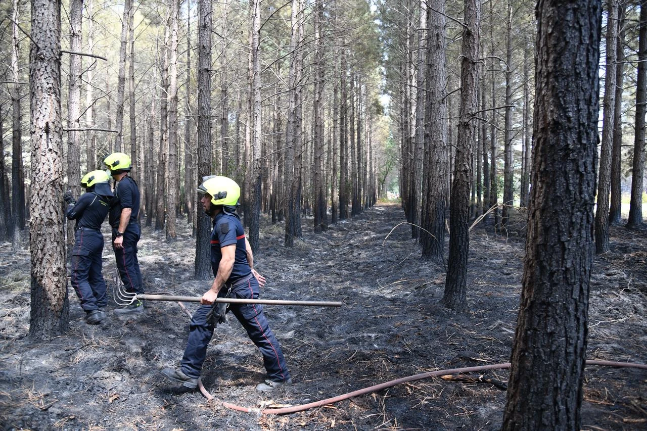 Aerial and ground crews battle the wildfire that broke out in Vila-Real, Portugal on July 30, 2026. (AA Photo)