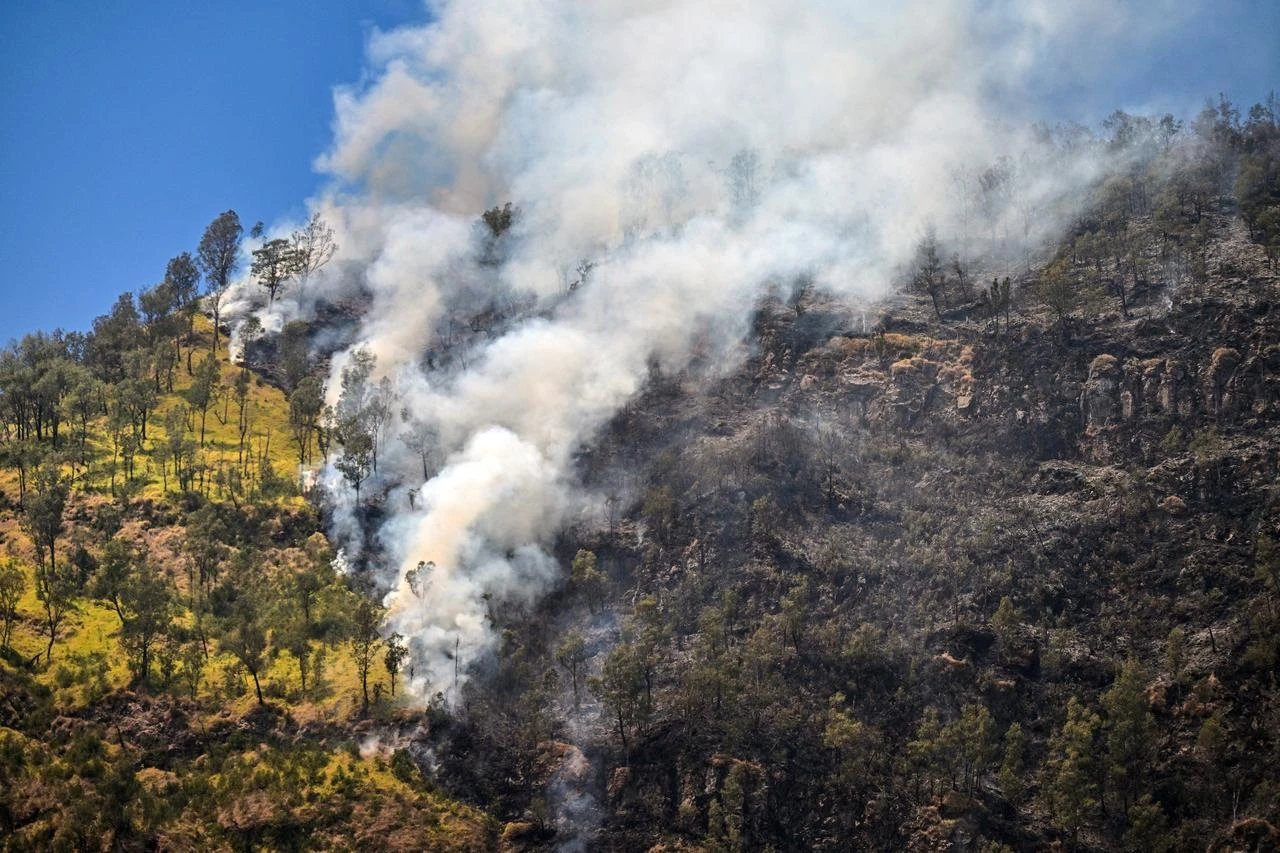 Fires scorch 520 hectares around Indonesia's Mount Bromo