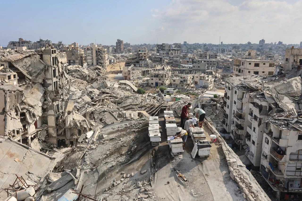 Israel could withdraw from Gaza if Hamas fully disarms, envoy says