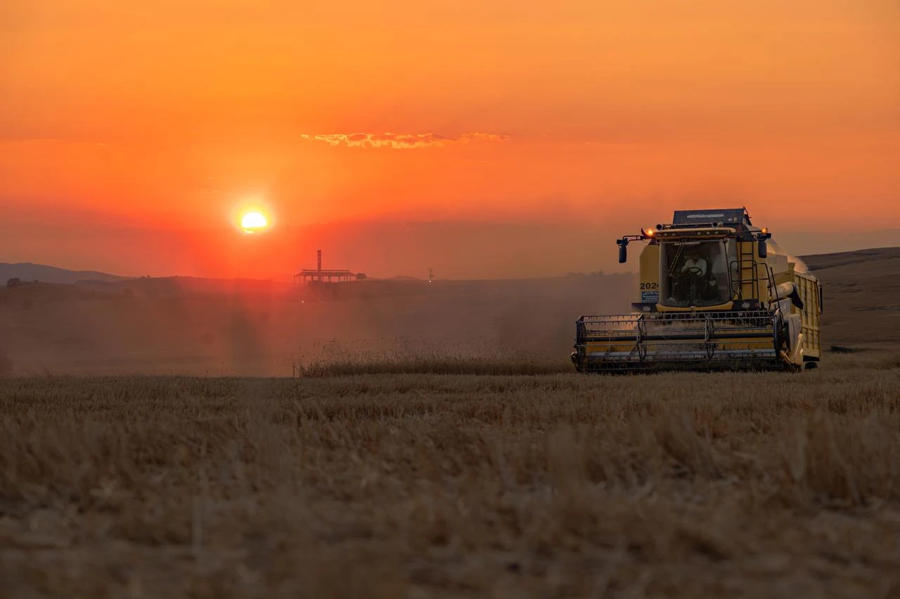 Ukraine lowers grain export outlook after Russian attacks disrupt ports