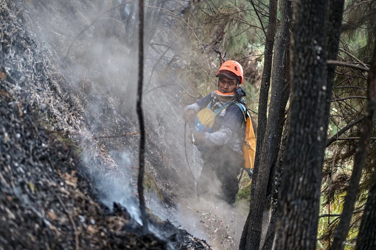 Volunteer battles wildfire in the Bromo Tengger Semeru National Park near Mount Bromo in Pasuruan, East Java province, on August 10, 2026. (AFP Photo)