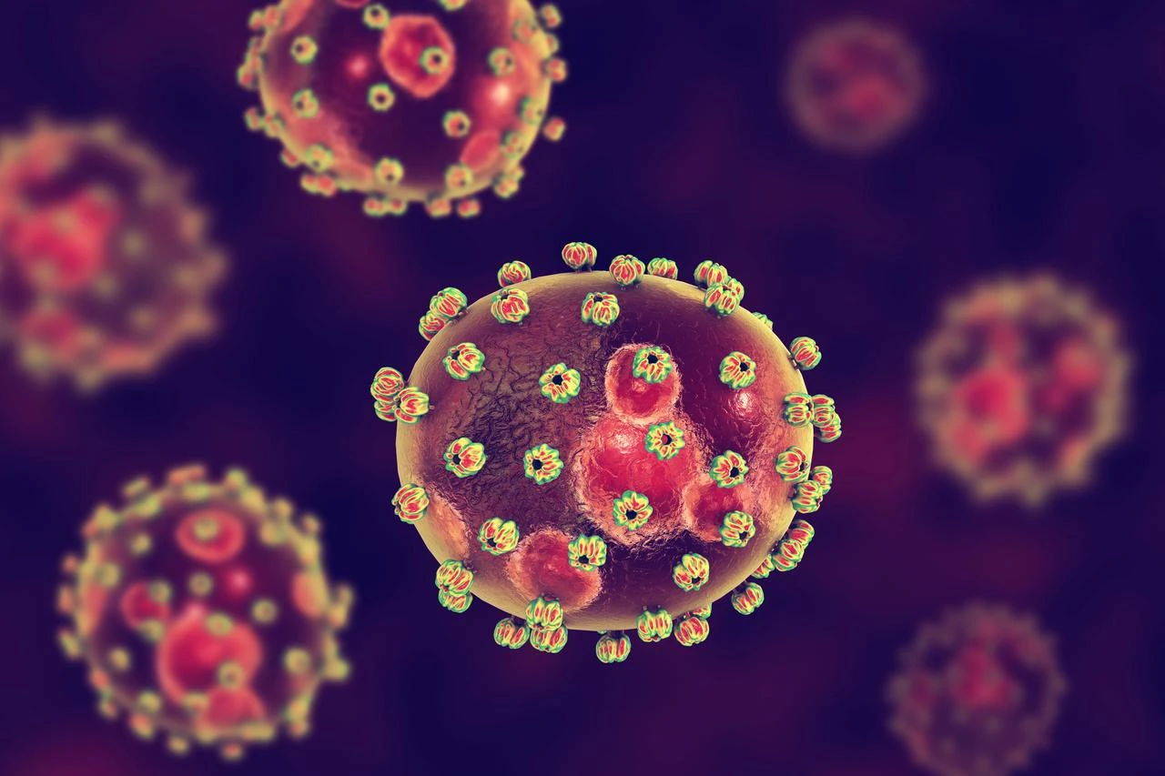 3D illustration of Lassa fever viruses (Adobe Stock Photo)