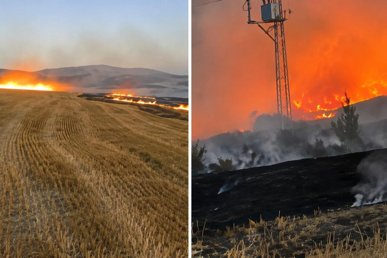 Man arrested over deliberate fire near UNESCO-listed Gordion archaeological site