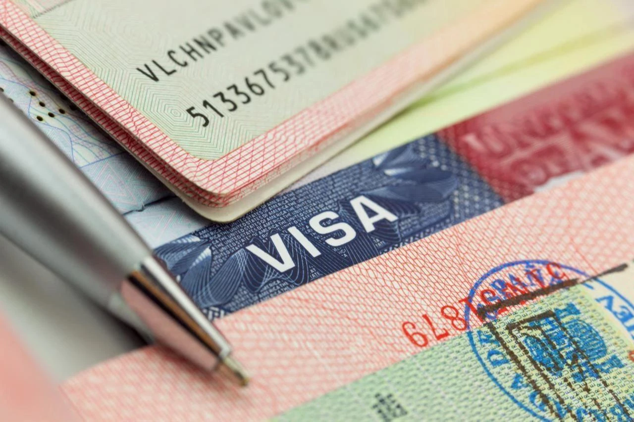 Türkiye launches operation against visa fraud, targeting 49 suspects