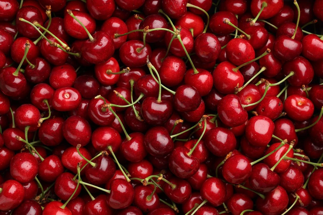 Photo shows ripe sweet cherries as background, accessed on Aug. 12, 2026. (Adobe Stock Photo)