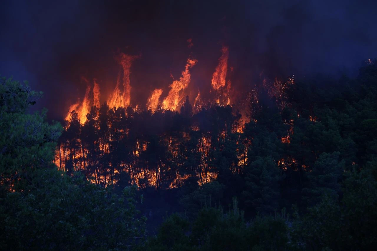 Flames engulf a forest during a wildfire in western Attica, Greece, Aug. 1, 2026. (AA Photo)
