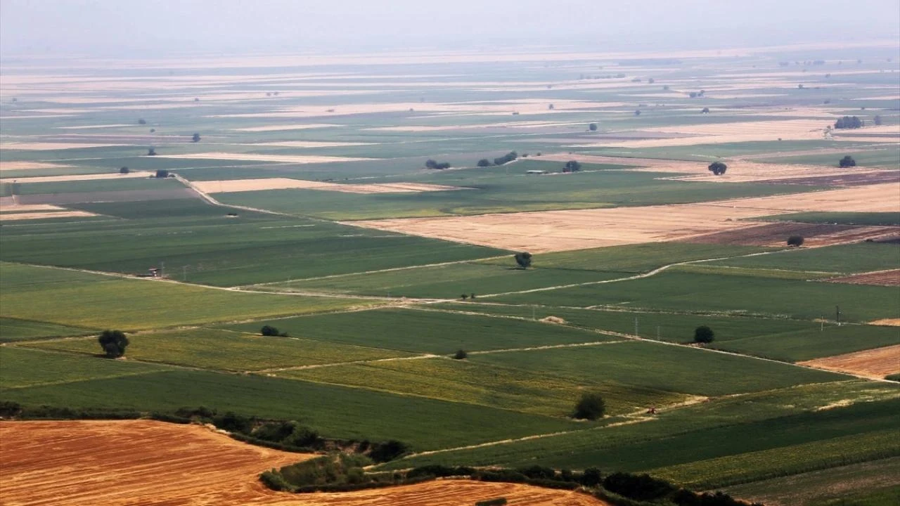 Cukurova, one of Türkiye's most important agricultural centers with its fertile lands, was photographed from the skies of Adana, Türkiye. (Photo via TRT)