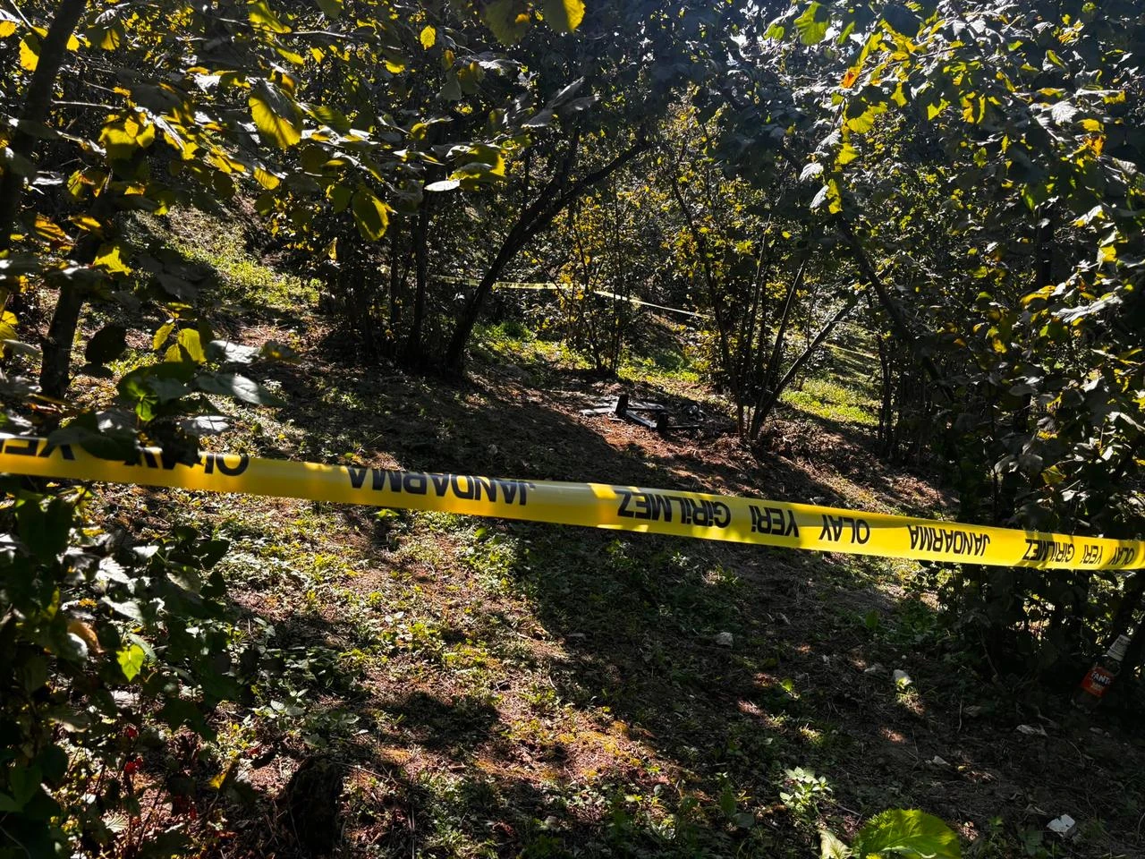Suspected UAV falls into hazelnut orchard in Duzce, Türkiye, Aug. 15, 2026. (IHA Photo)