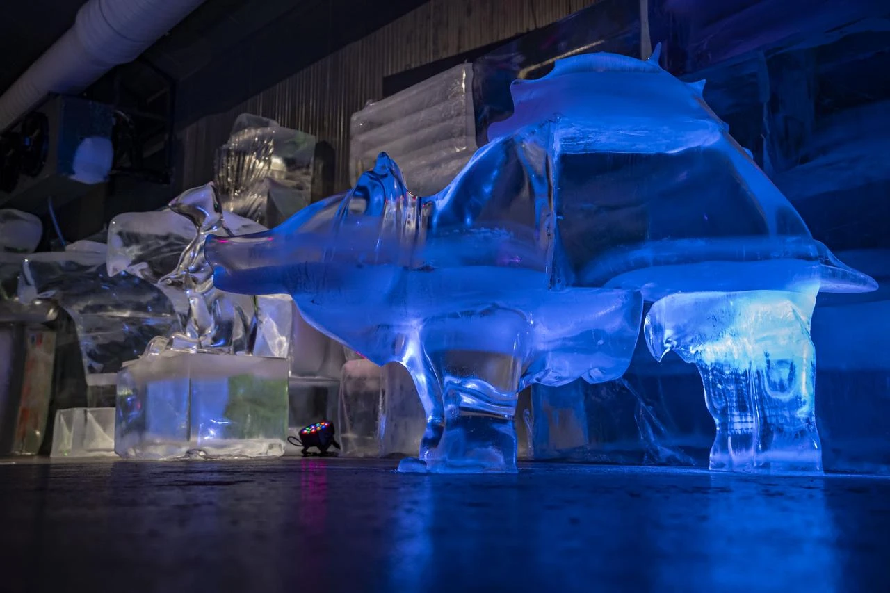 Sculptures from The “Ata Ice Museum” in Erzurum. (AA Photo)