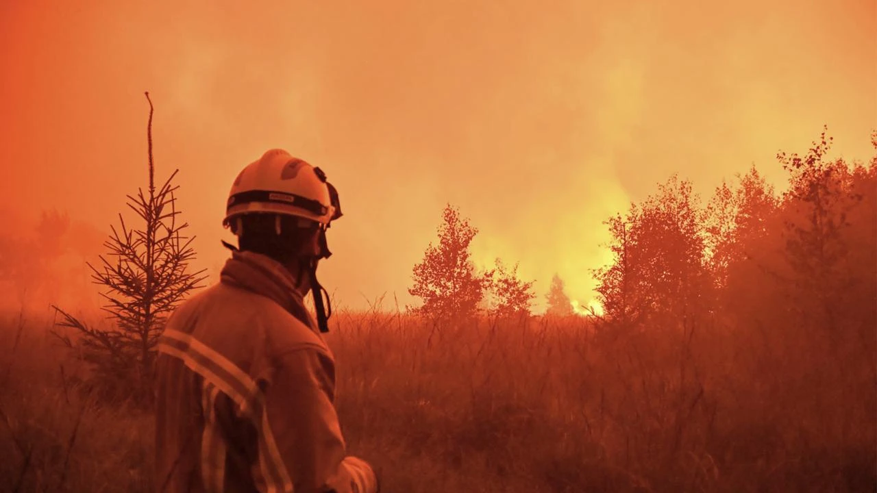 Belgium battles biggest wildfire since 1911 as rain grounds aircraft