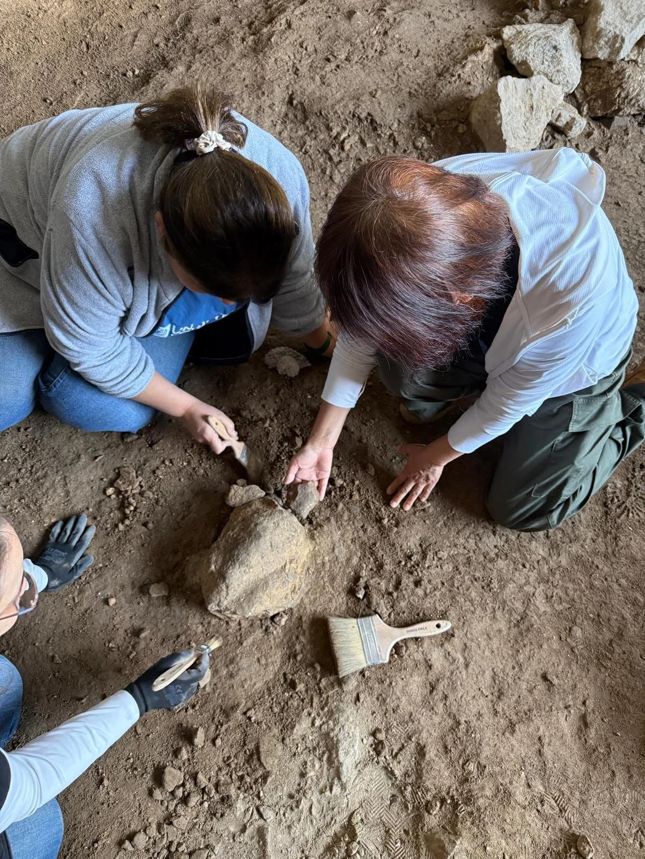 Turtle-shaped limestone figurines dating to between 14,500 BC and 11,200 BC are seen during excavations at In Cave in Bilecik, northwestern Türkiye. (AA Photo)