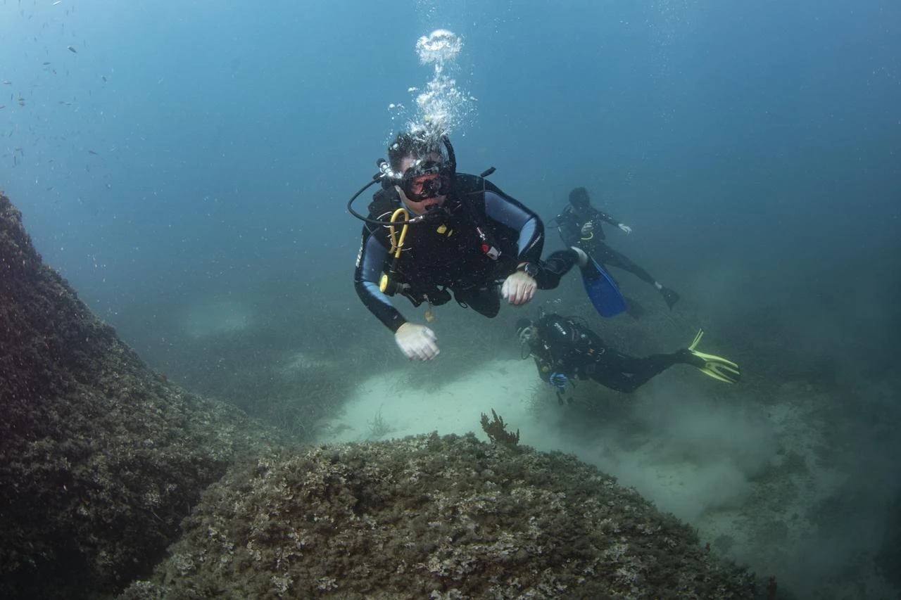Cruise tourists dive into Kusadasi's underwater world, explore sunken Airbus A300