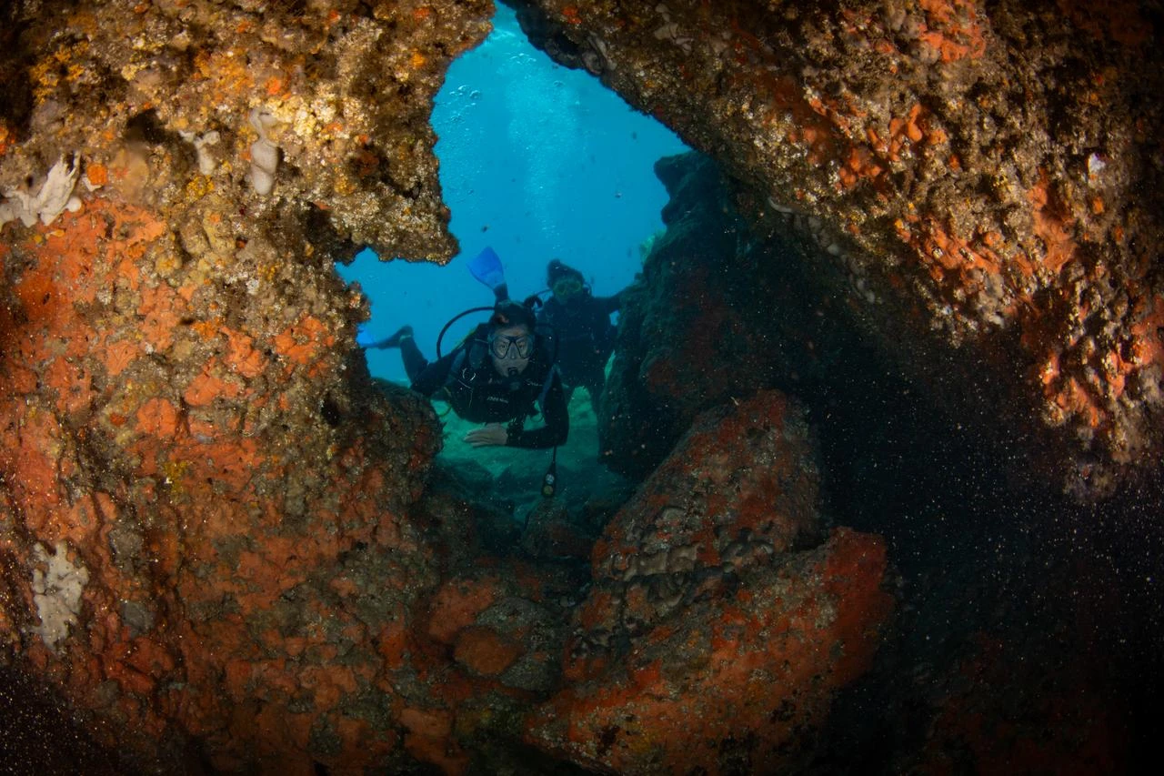 A diver explores an underwater rocky area off the coast of Kusadasi in Aydin, Türkiye, on August 05, 2026. (AA Photo)