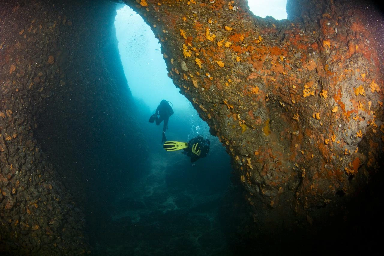 A diver explores an underwater rocky area off the coast of Kusadasi in Aydin, Türkiye, on August 05, 2026. (AA Photo)