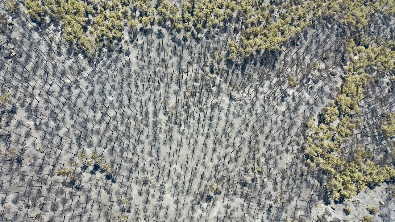 Anadolu Agency