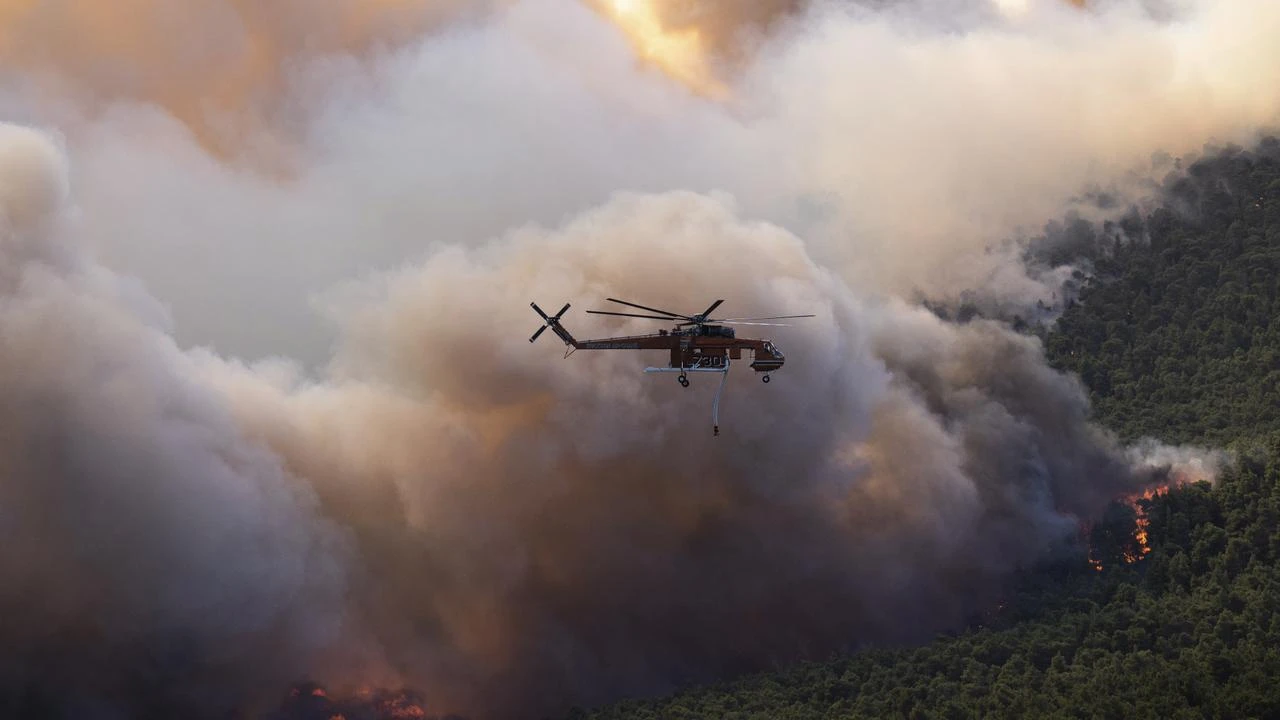 AFP
