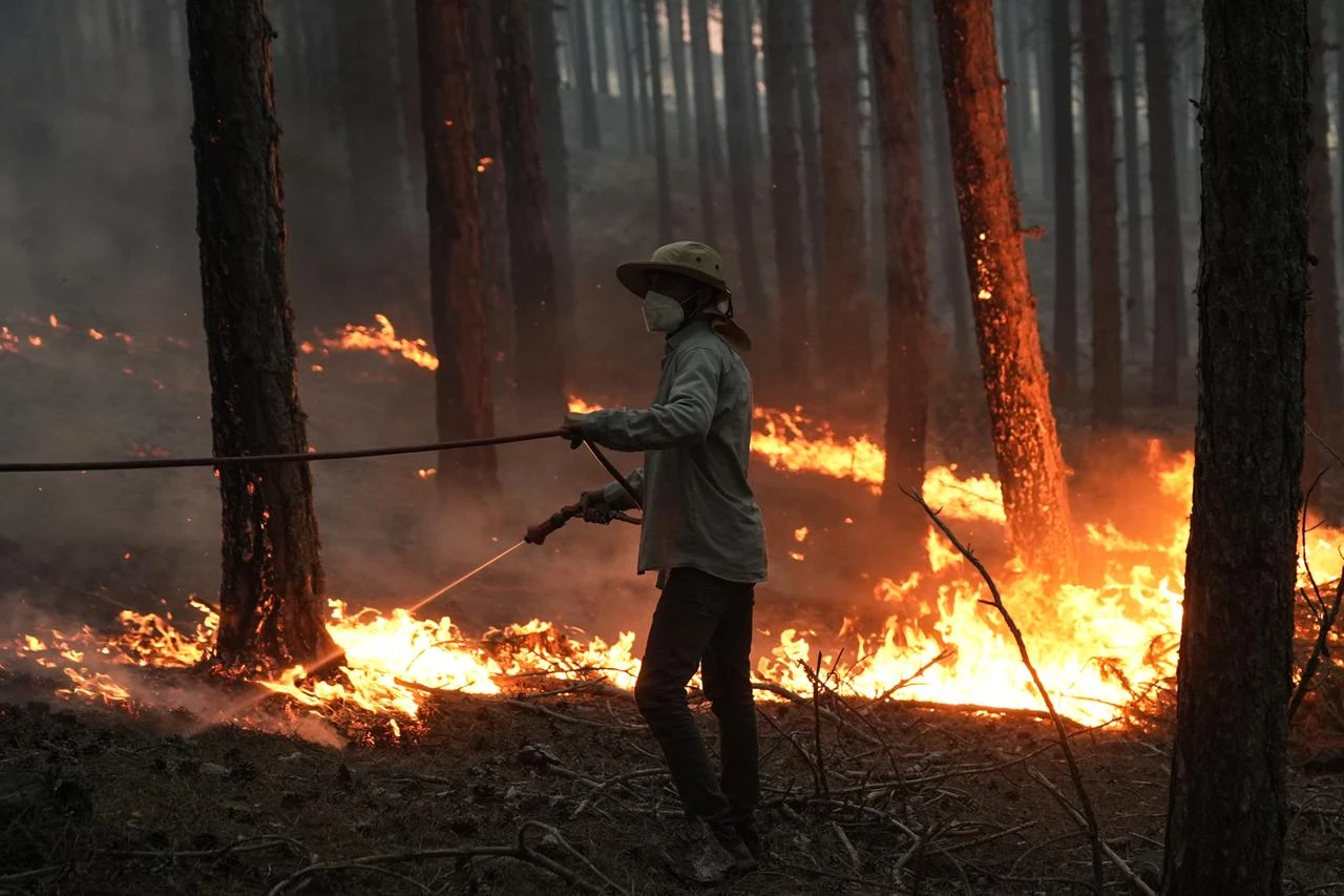 Türkiye probes 44 forest fires across 16 provinces