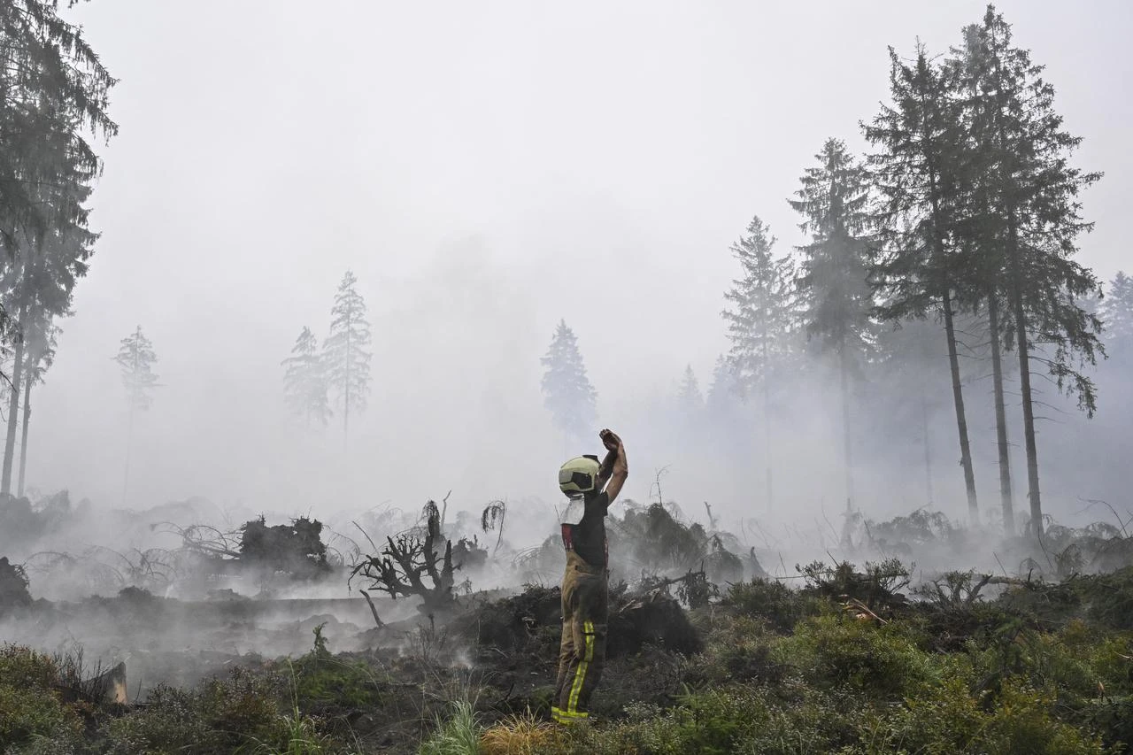 Belgium's worst wildfire in a century tamed