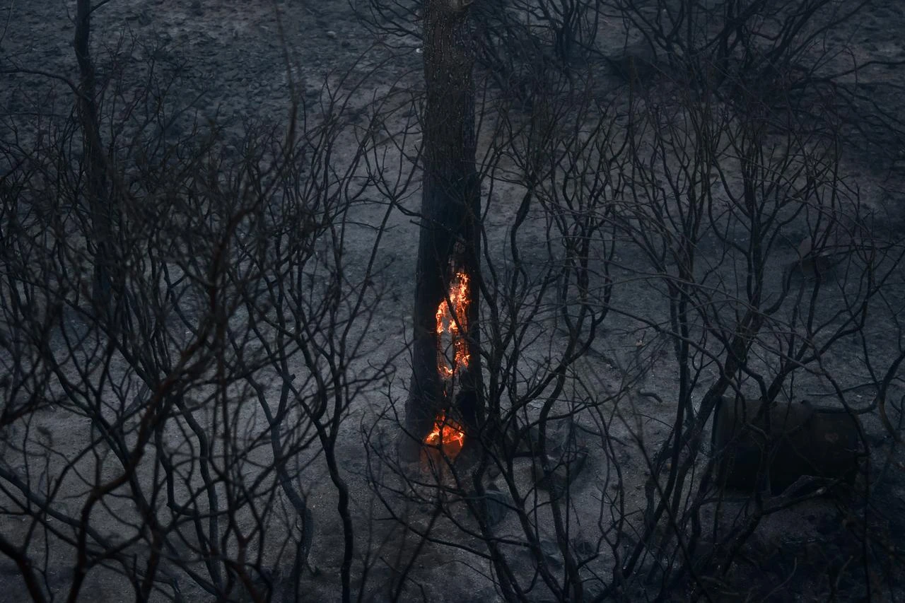 Wildfires break out in multiple regions across Greece
