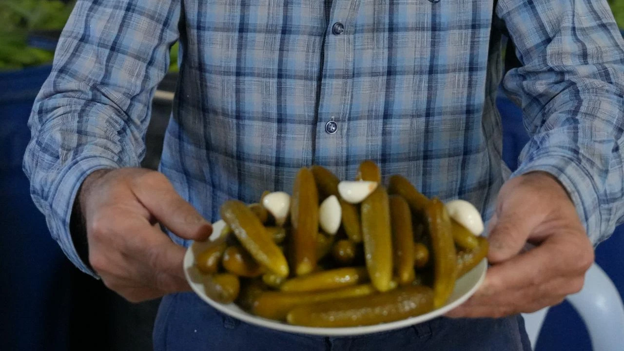 Cubuk pickles: Ankara's green gold reaches tables worldwide