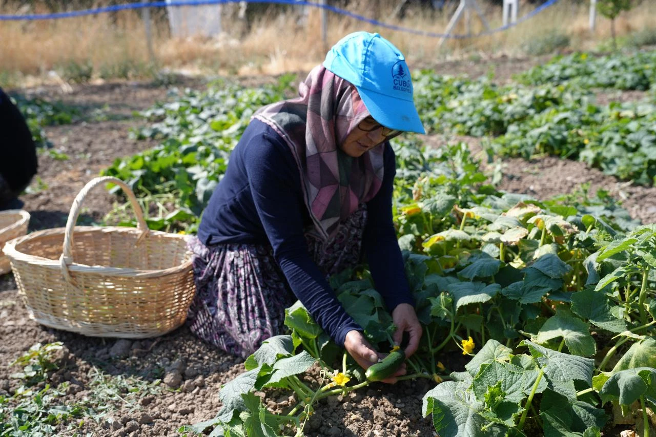 Anadolu Agency