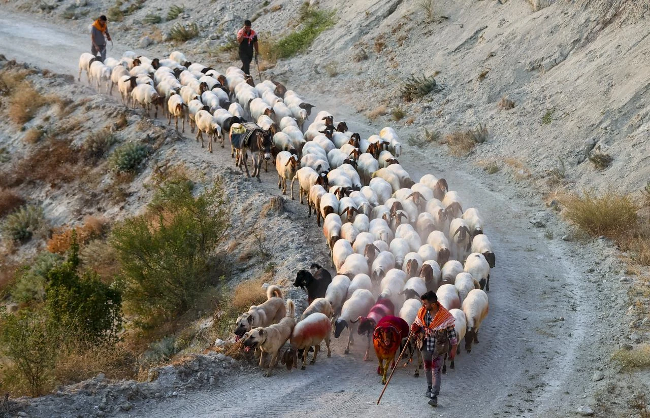 Anadolu Agency