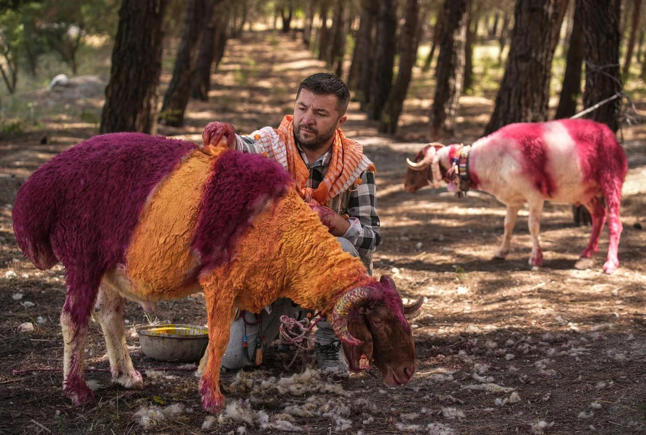 Anadolu Agency