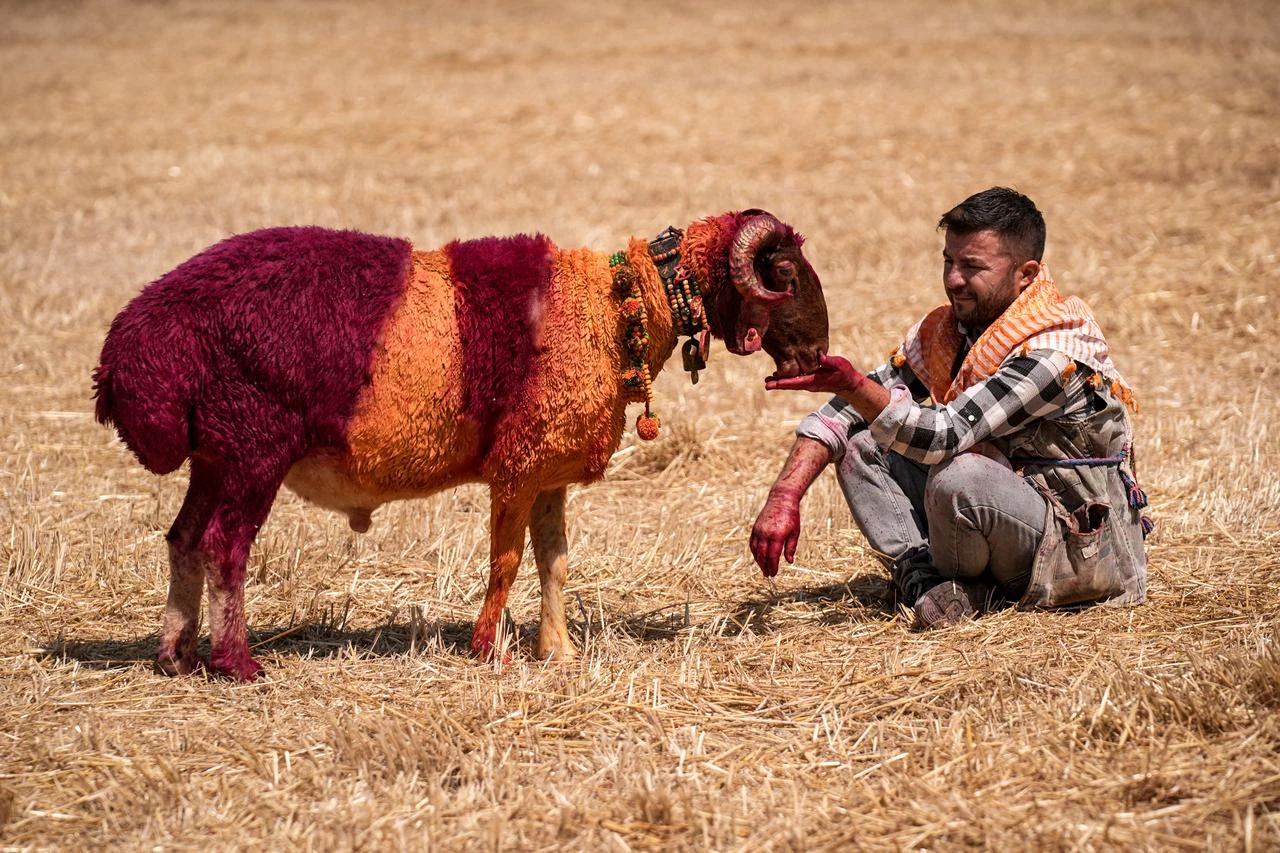 Anadolu Agency