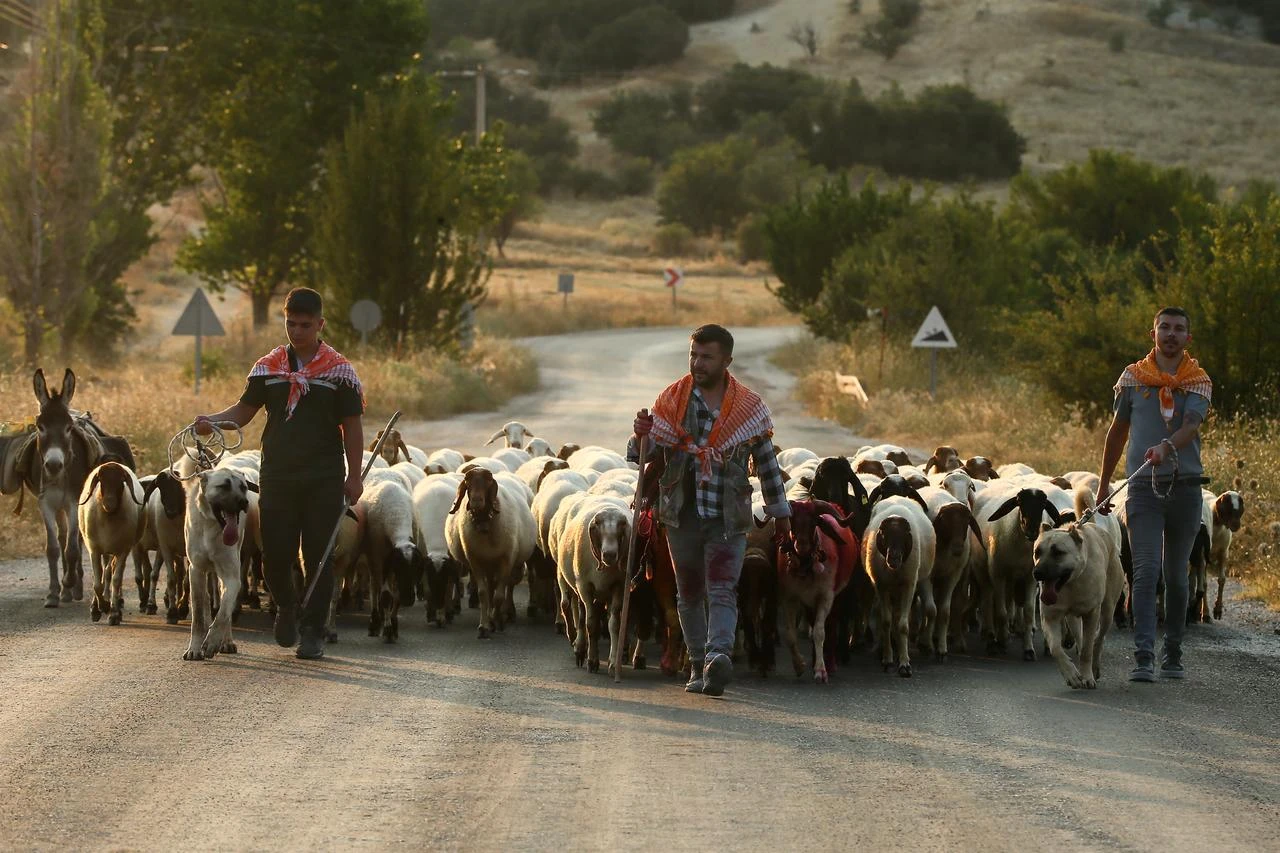 Anadolu Agency
